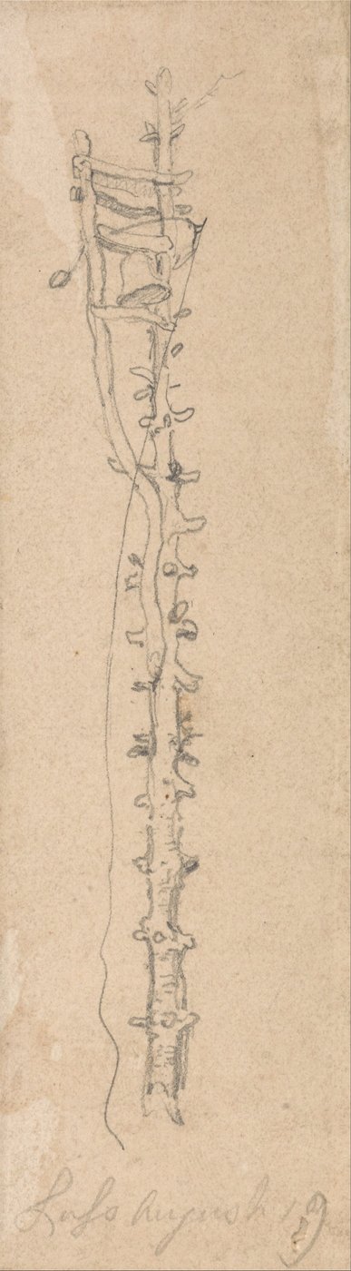 A Bell on a Notched Post by James Ward